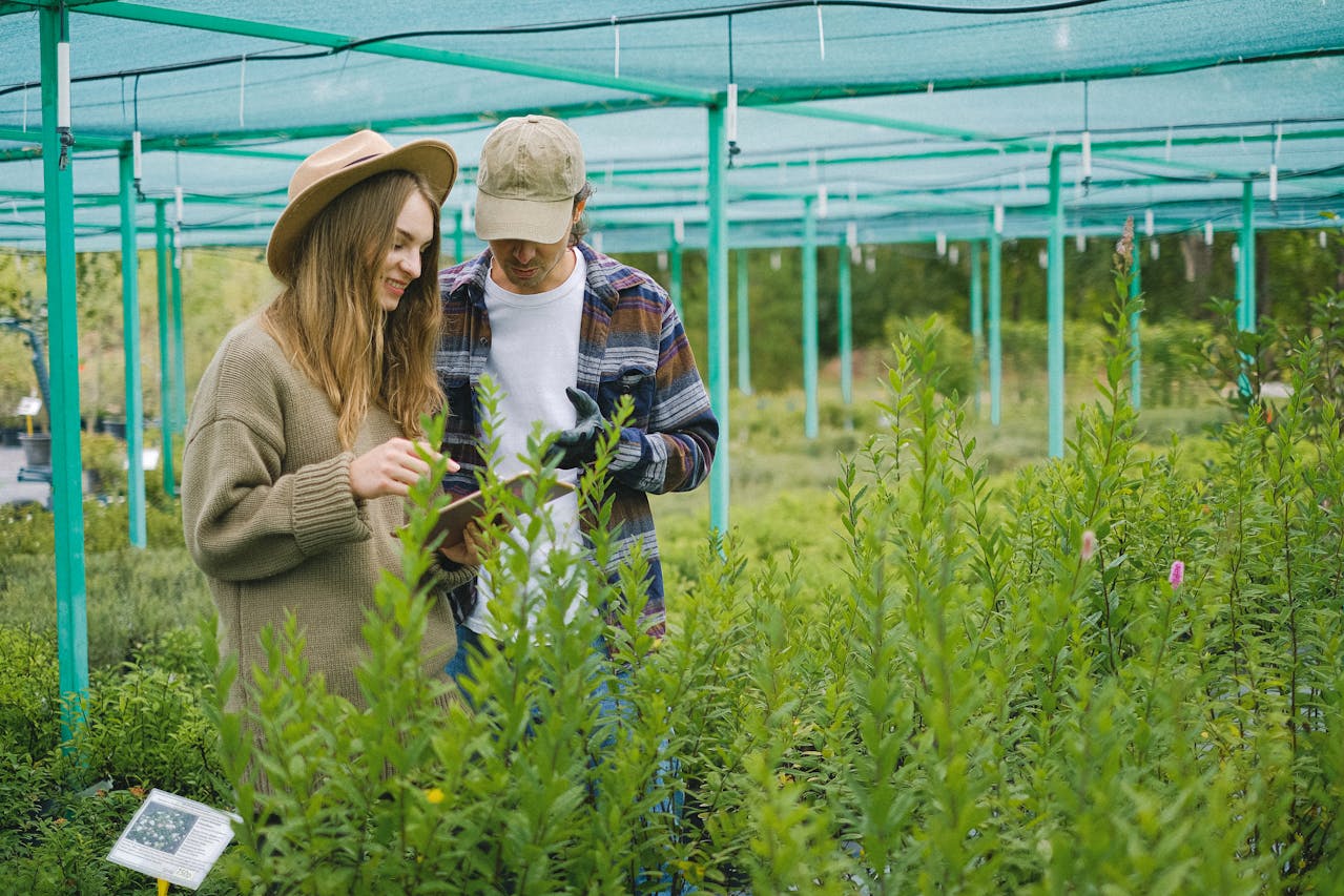 Sensores com Inteligência Artificial: A Nova Fronteira do Agronegócio Sustentável